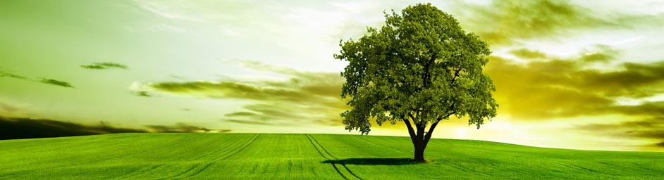 服務(wù)說(shuō)明